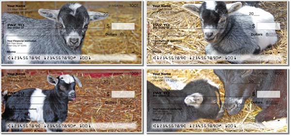 baby goat personal check series