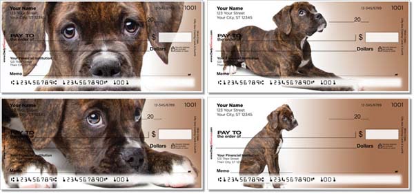 Boxer pup personal check series