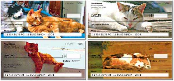 Cat nap personal check series