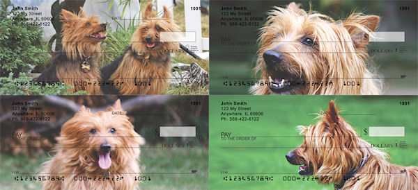 australian terrier check series