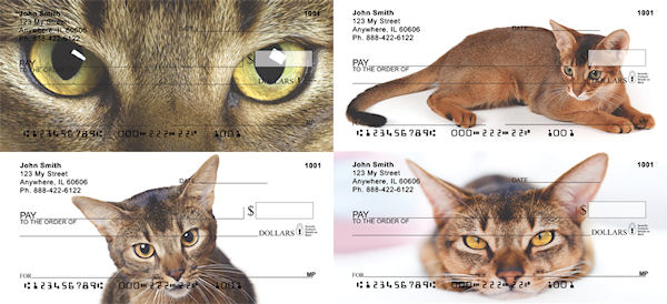 Abyssinian Cat Checks