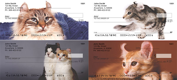 American Curl Cat Checks