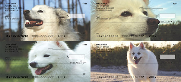 American Eskimo Dog Checks