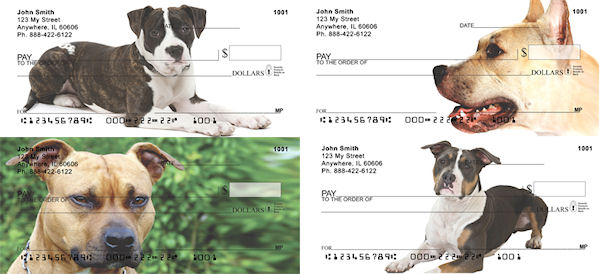 American Staffordshire Terrier Checks