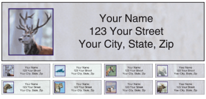 american wildlife address labels