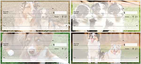 Australian Shepherd dog check series