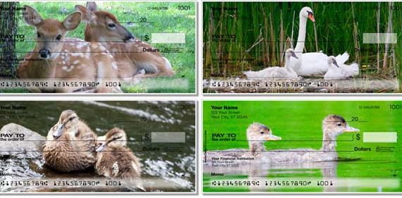 baby animal checks