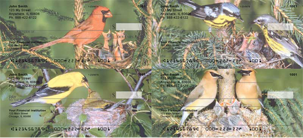 Baby Birds Checks