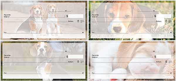 beagle check series