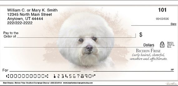 bichon frise dog breed checks