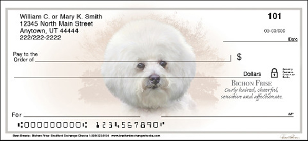 bichon frise dog breed checks