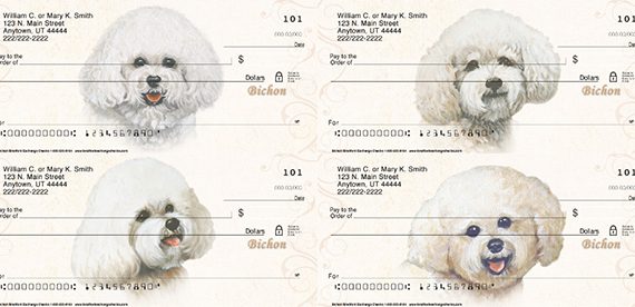bichon frise check series