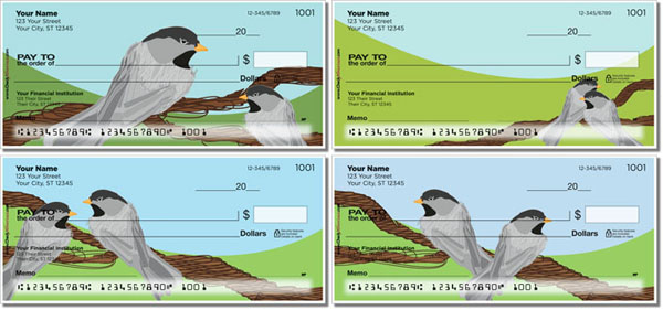black-capped chickadee checks