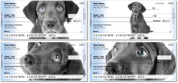 Black Lab Pup Checks