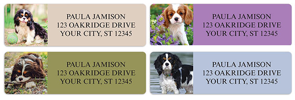 Cavalier King Charles dog labels