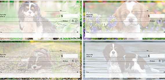 Cavalier King Charles dog check series