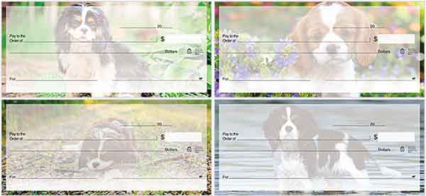 Cavalier King Charles dog check series