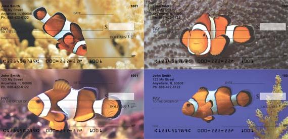 clown fish checks