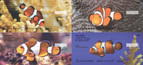 clown fish checks