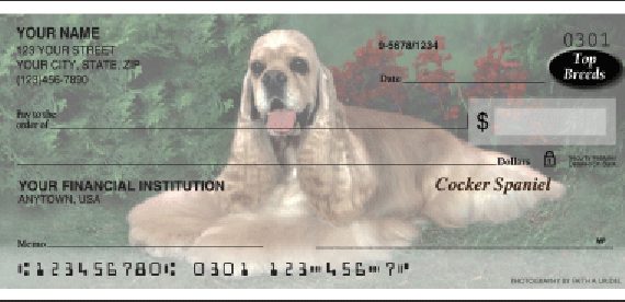 cocker spaniel check