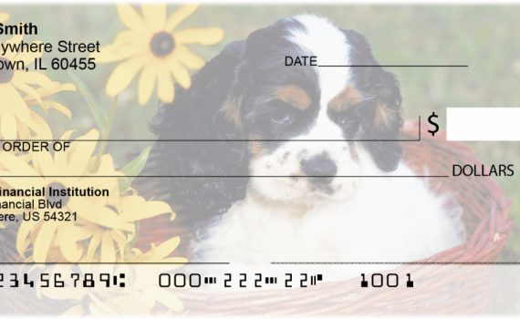 cocker spaniel check