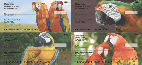 Colorful Parrot Checks