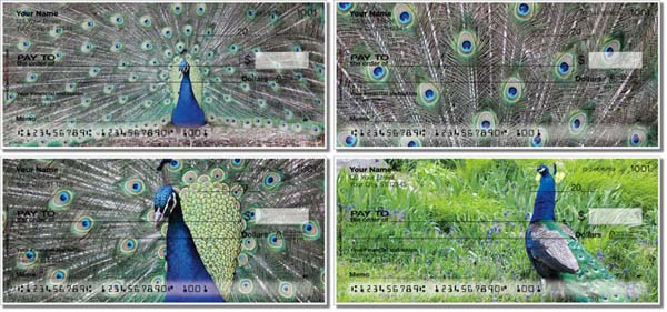 Colorful Peacock Checks