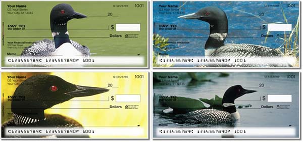 Common Loon Checks
