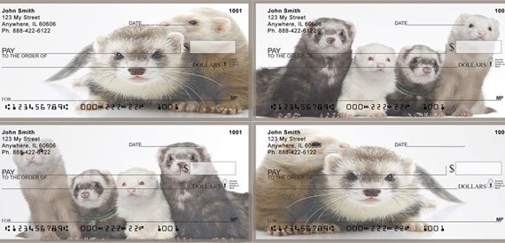 Fun Ferret Checks