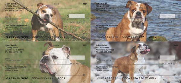 Fun With Bulldogs Checks
