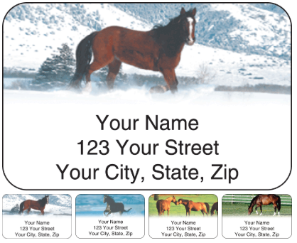 horse enthusiast address labels