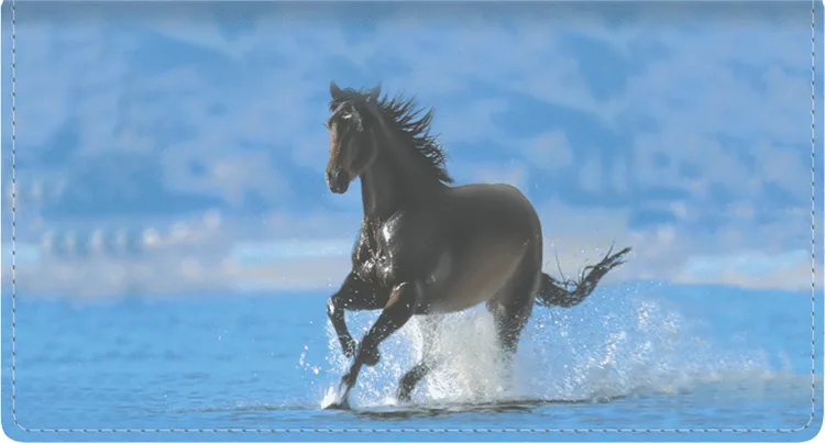 horse enthusiast checkbook cover