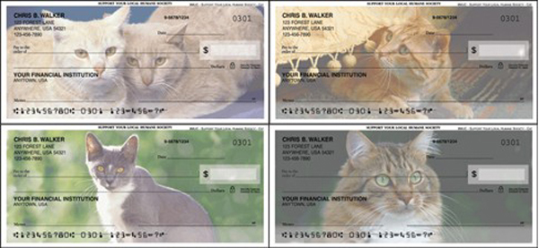 Local Animal Shelter – Cat Checks