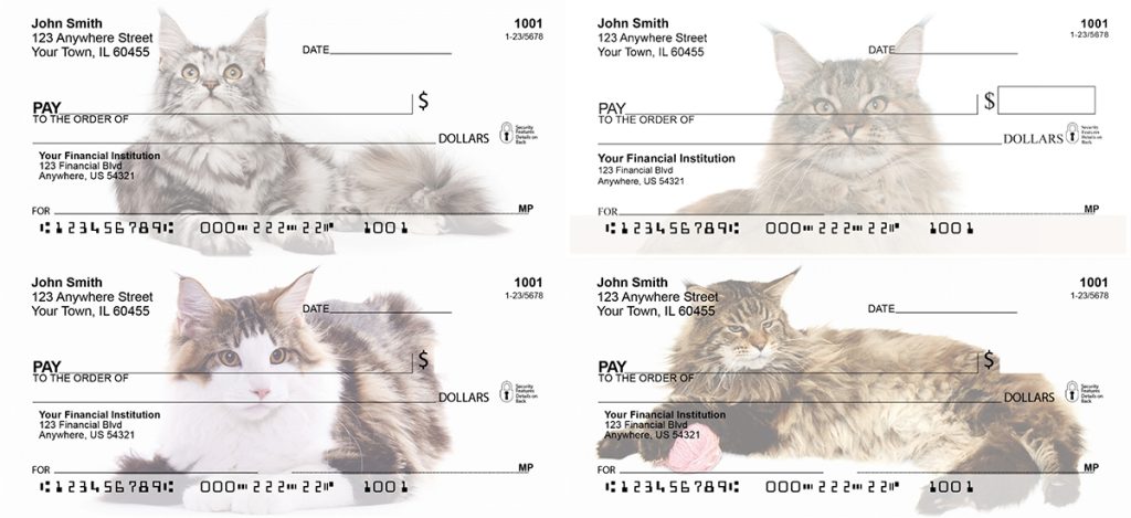 Maine coon cat checks