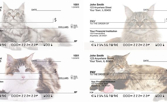 maine coon cats checks