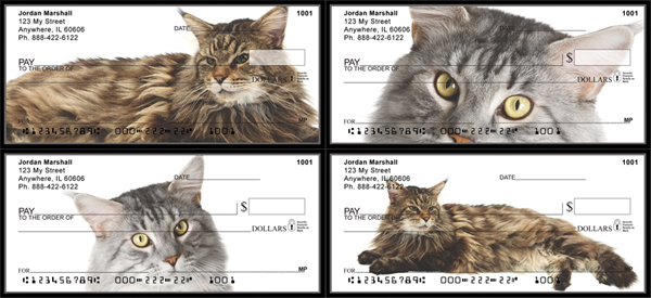 maine coon cat checks out of print