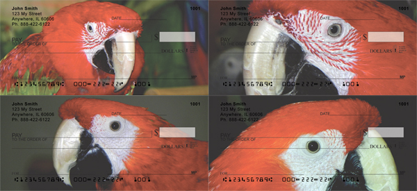 Parrot Checks Featuring Macaws