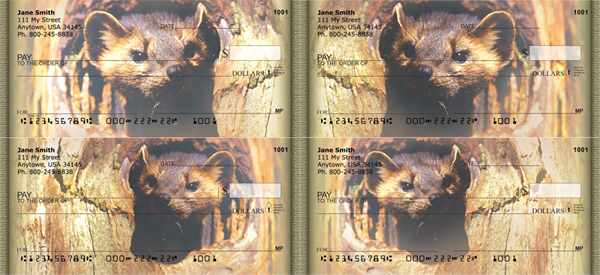 Peekaboo Ferrets Checks