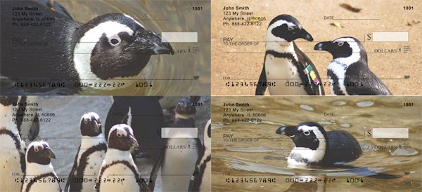 penguin checks