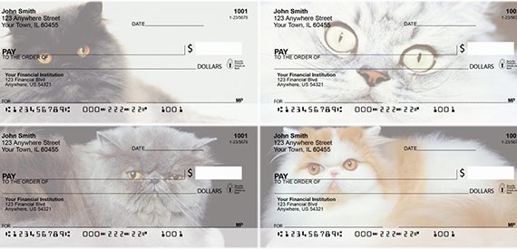 persian cat check series designs