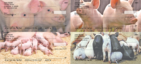 pig checks