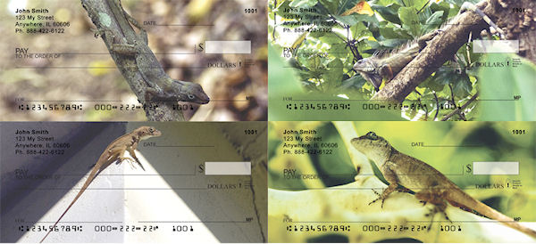 Puerto Rican Lizards Checks