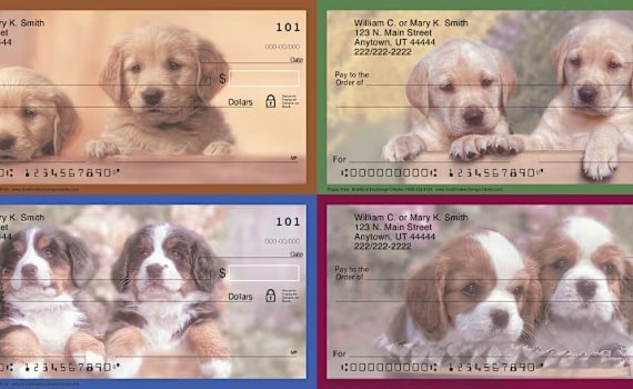 puppy pals check series