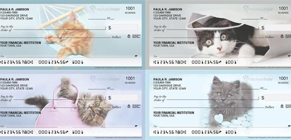 rachael hale kitten checks
