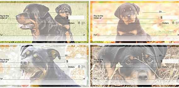 rottweiler check series