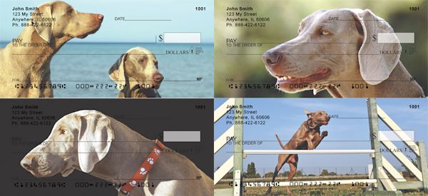 Weimaraner Dogs in Action Checks