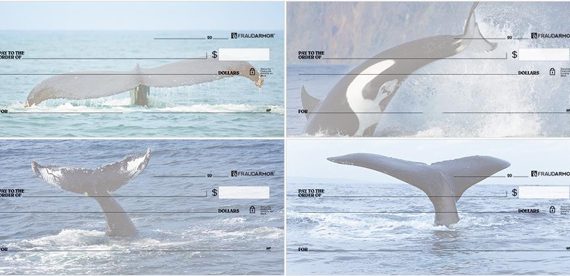 whale tails personal checks