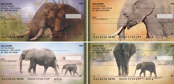 wild elephant portraits check series