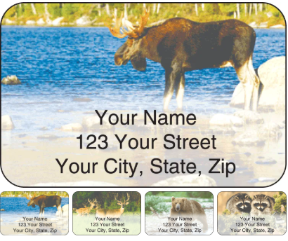 wildlife address labels featuring a moose, deer, a bear, and racoons
