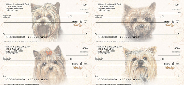 yorkie dog checks